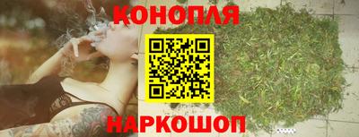 гидропоника Краснодар