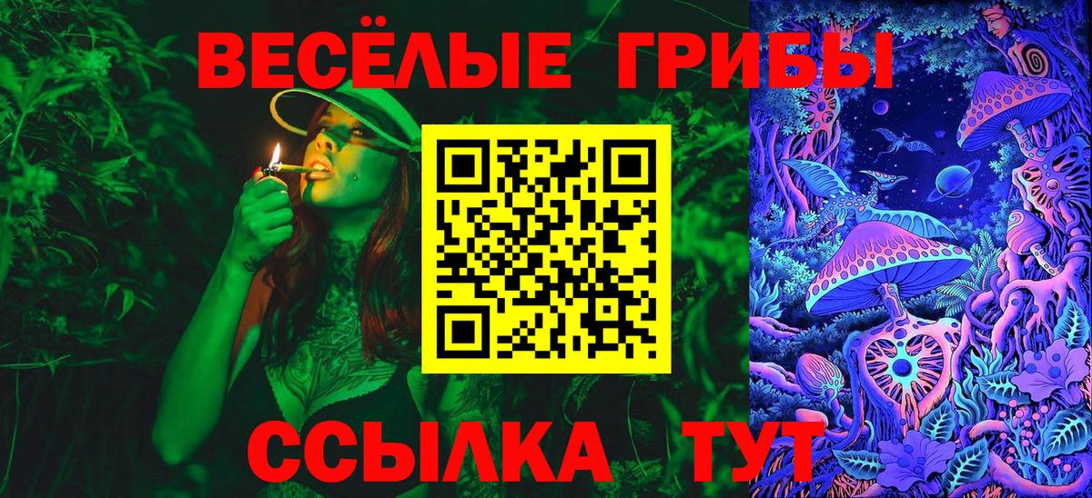 Галлюциногенные грибы GOLDEN TEACHER Камышин