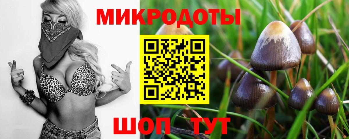 Галлюциногенные грибы мицелий  Вход с VPN  Камышин  Псилоцибиновые грибы Cubensis 