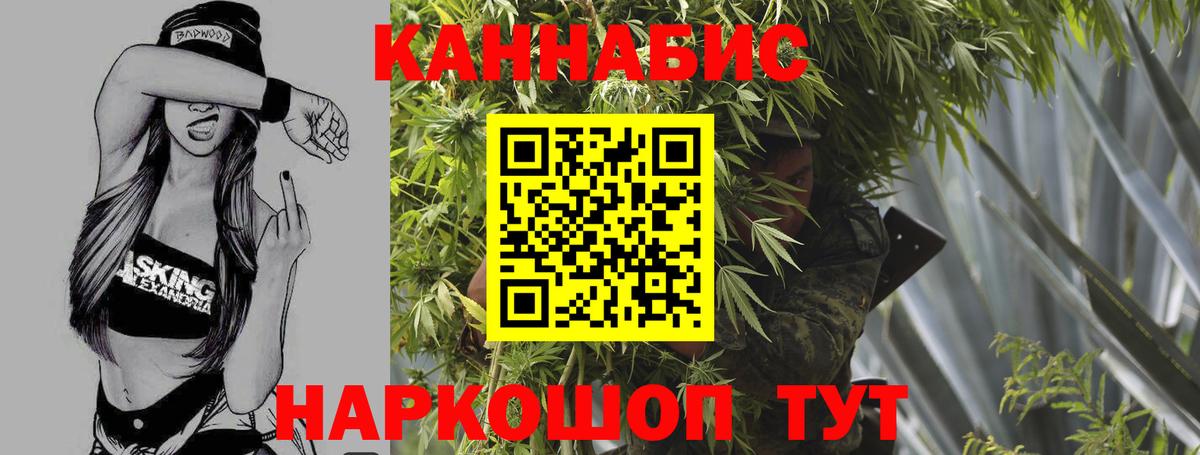 Конопля сатива Камышин
